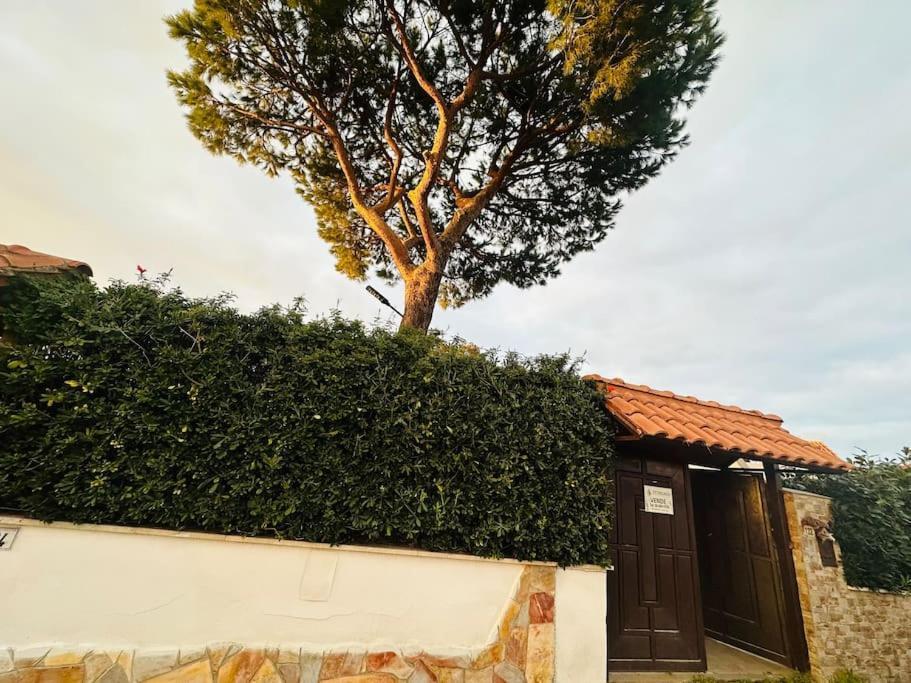 فيلا Marina di Cerveteriفي Fontana House المظهر الخارجي الصورة